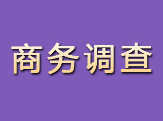 瑞安商务调查